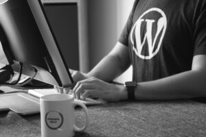 person working with a computer - How to Hire a Freelance Tech Writer for Your SaaS Blog