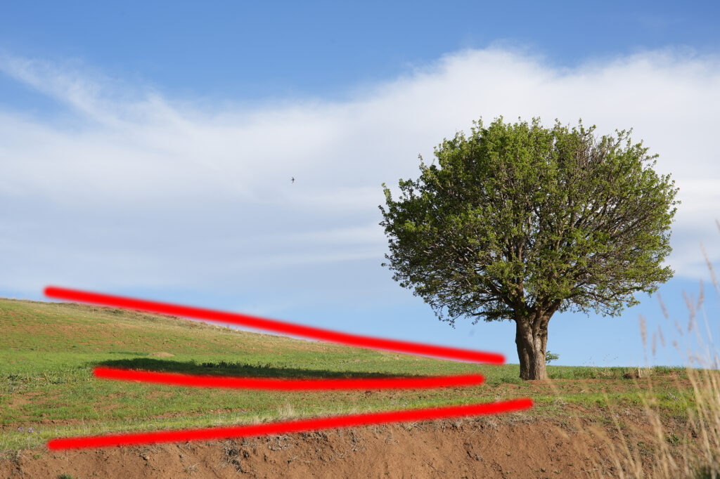 better photo composition with leading lines