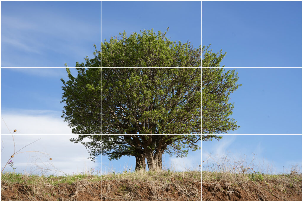 central composition example - horizontal