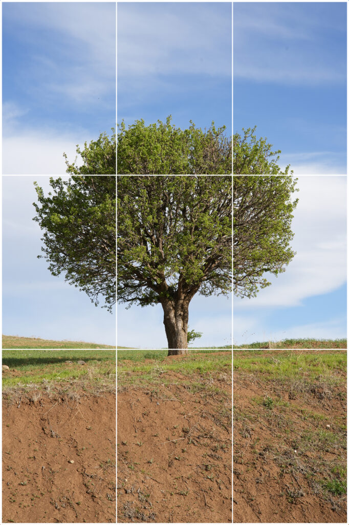 central composition example - vertical