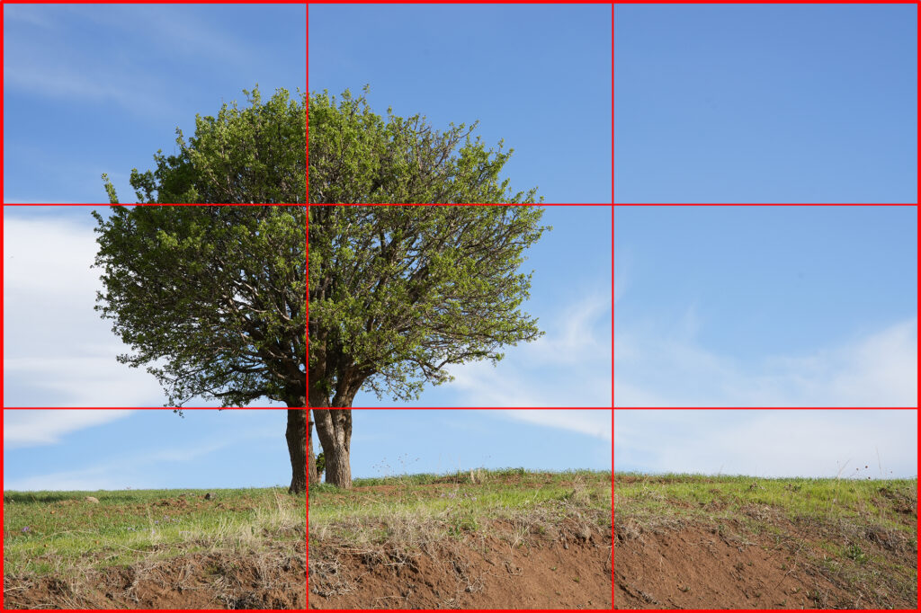 horizontal photo composition with the rule of thirds grid
