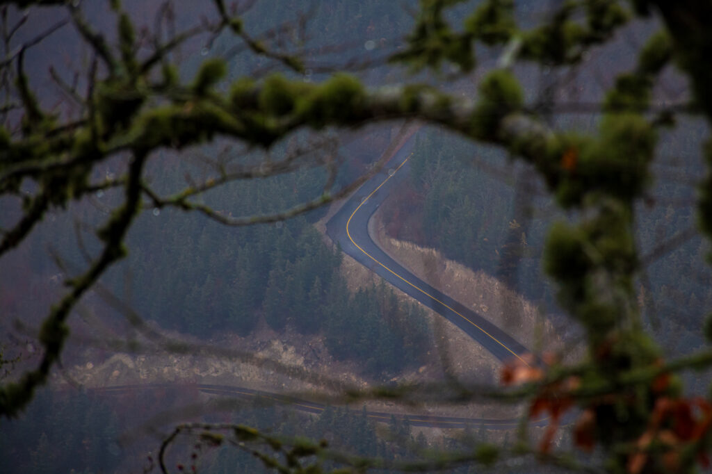 photo composition without focal point