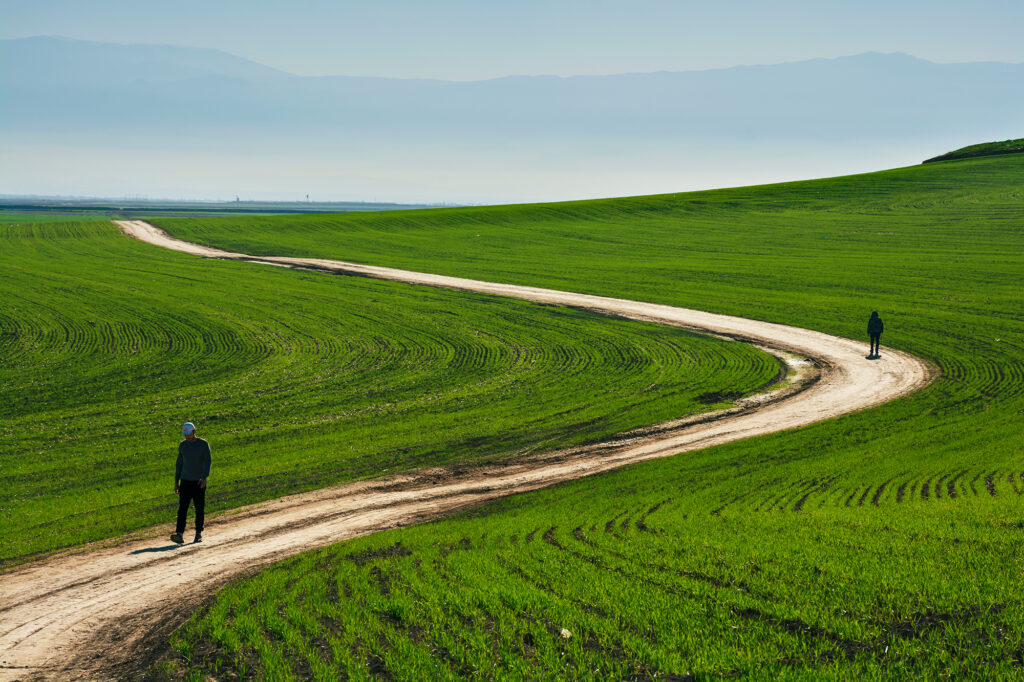 using curved lines in photography composition