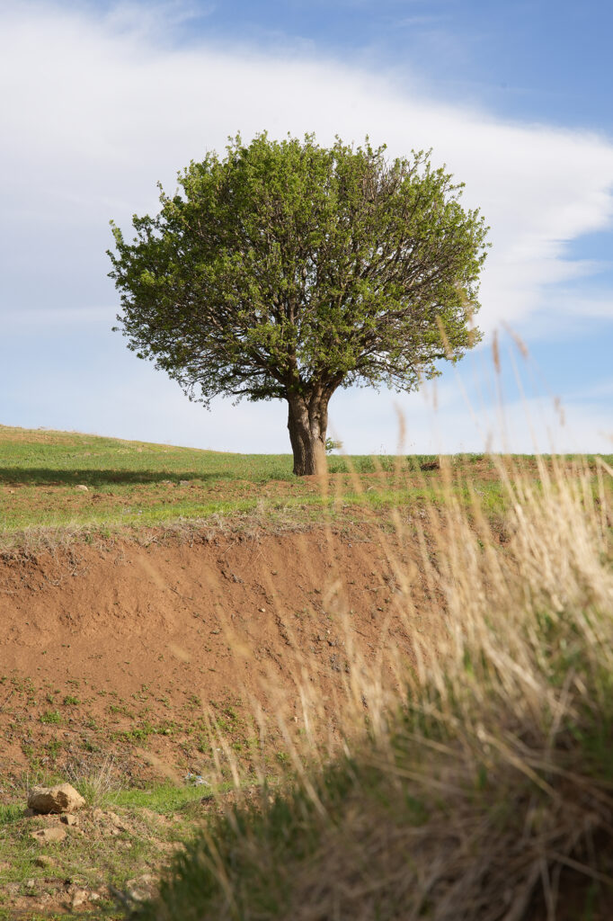 using foreground for better composition in photography