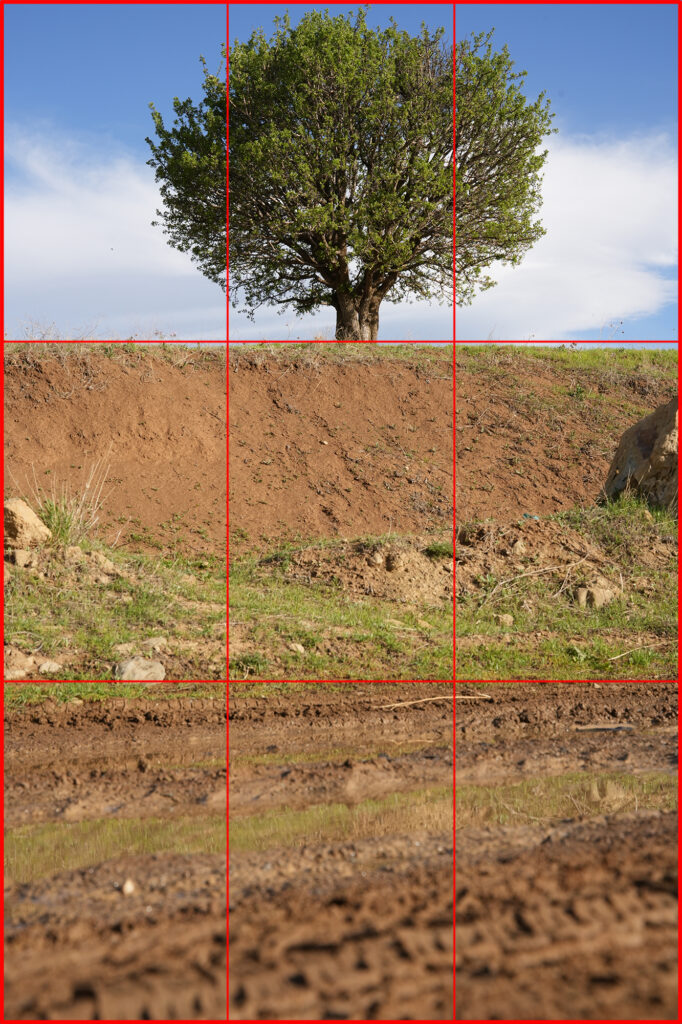 vertical photo composition with the rule of thirds grid